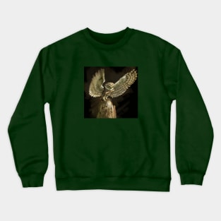 The Owl message Crewneck Sweatshirt